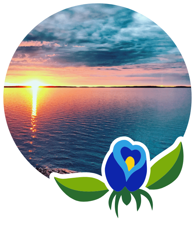circle image of sunset over lake with flower