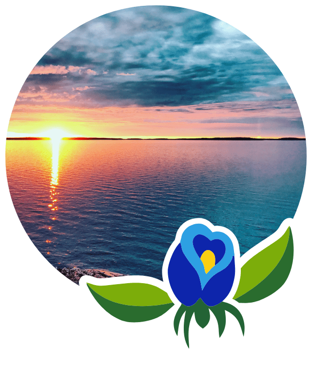 circle image of sunset over lake with flower