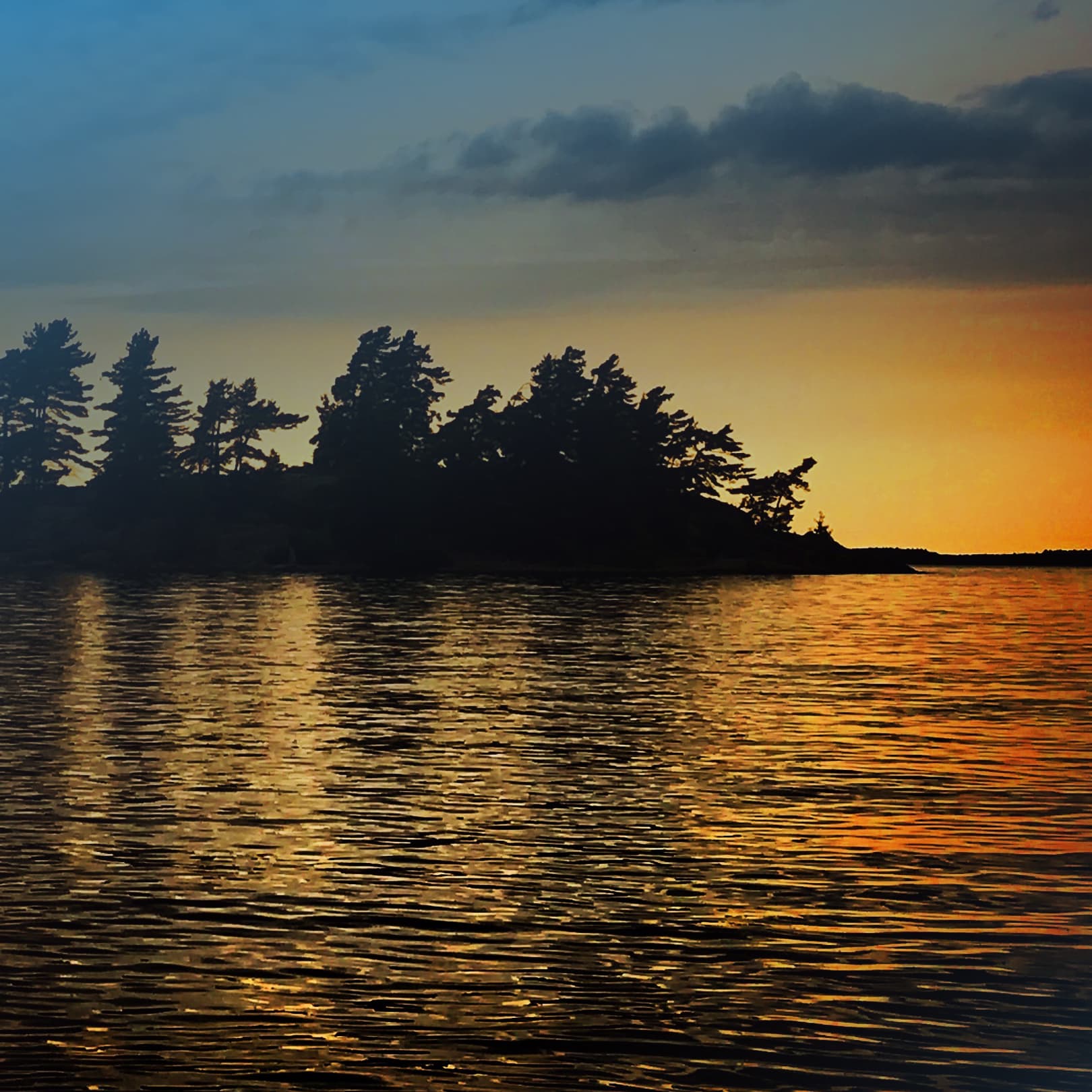 Treeline silhouette with the golden reflection of the sun on water in the foreground