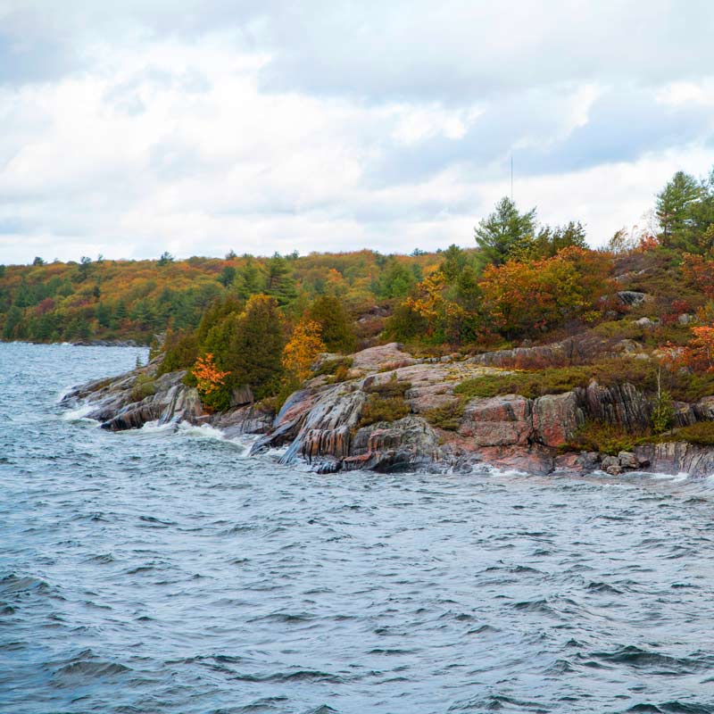 Shoreline with water